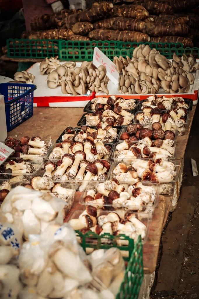 Chongqing wet market tour